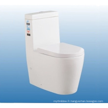 Vente chaude Foshan Chine Sanitaires Wc One Piece Toilet Set